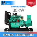濰柴30千瓦發(fā)電機組